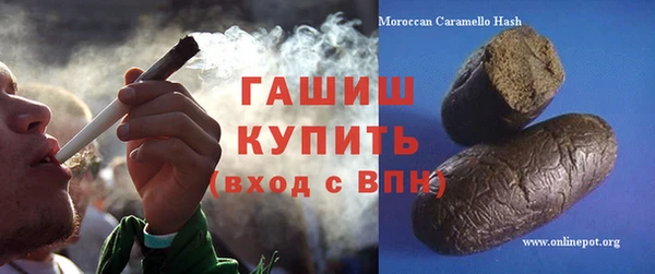 индика Кинешма