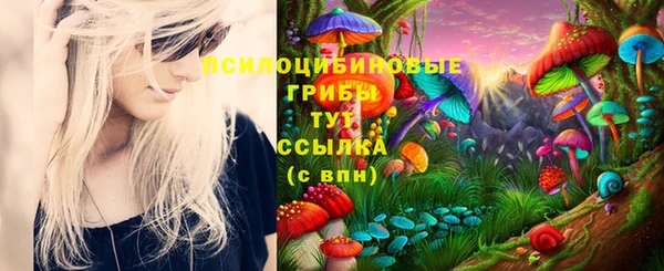 гидропоника Арсеньев