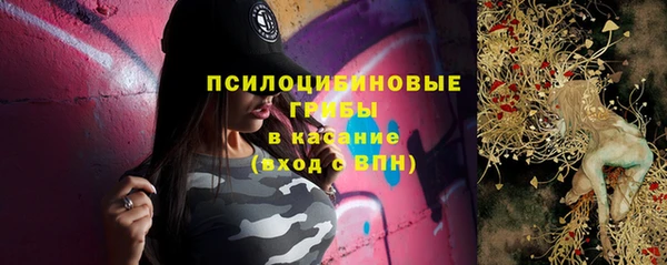 Альфа ПВП Аркадак